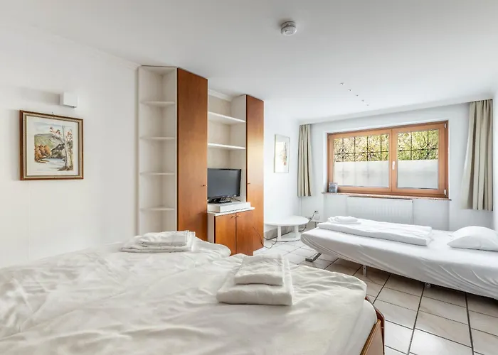 Wittenius By We Rent 잘바흐 힌터글렘